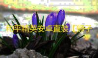 和平精英安卓直装【狮子王原苹果直装】辅助